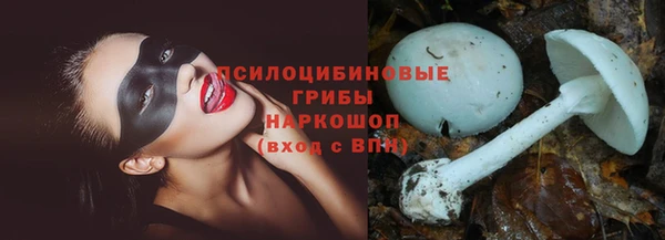 apvp Абинск