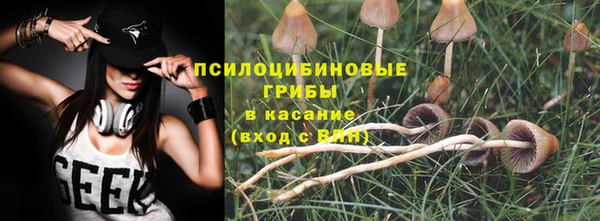 прущие грибы Абдулино