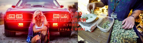 соль ск Алзамай
